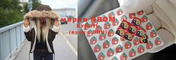 МДПВ Пересвет