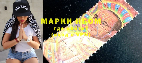 хмурый Пестово