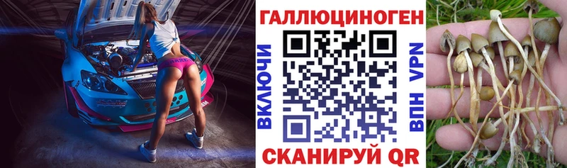 Псилоцибиновые грибы мухоморы  mega ССЫЛКА  Ивдель 